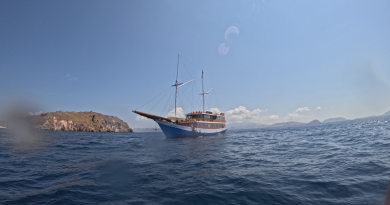 Komodo 3 Days Private Trip Labuan Bajo