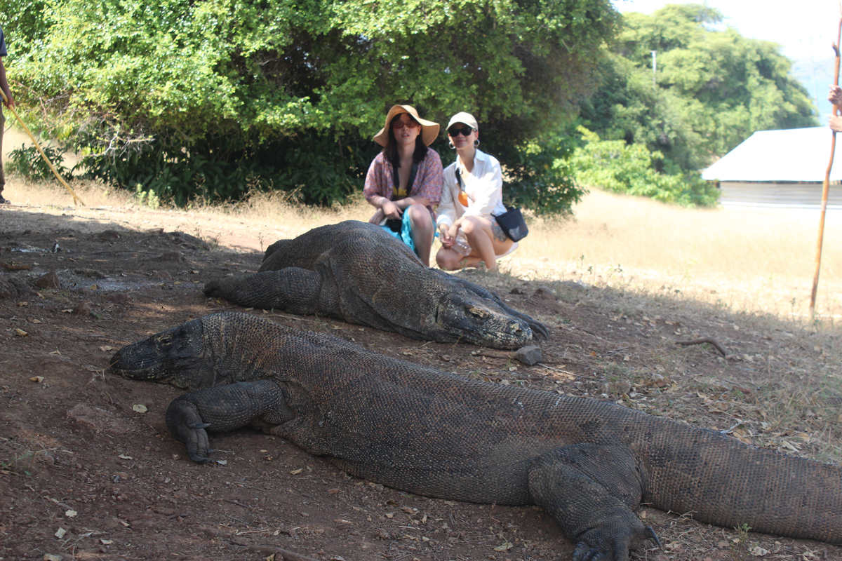 komodo 3 days trip