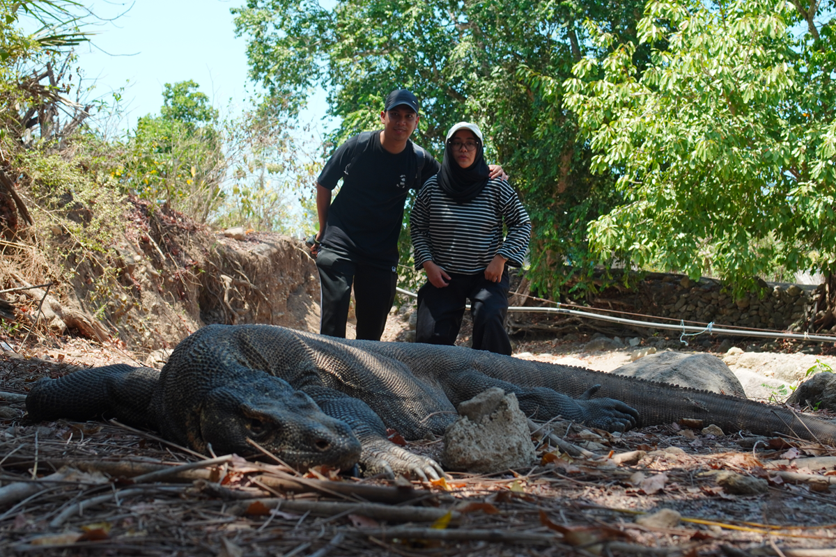 komodo 2 days trip