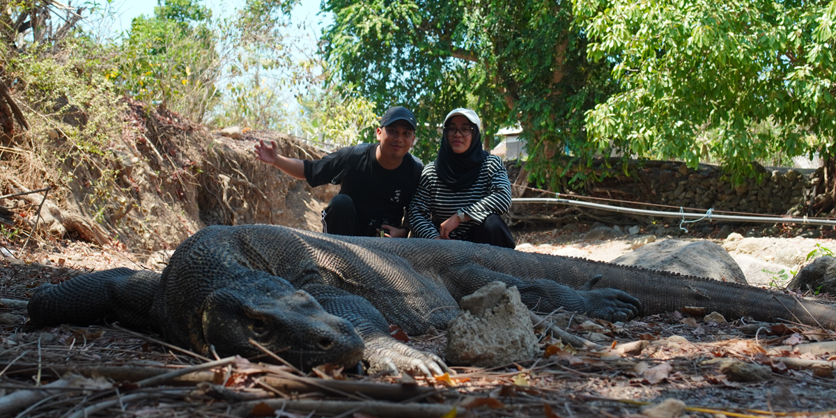 Open Trip Komodo Lombok 4 Days 3 Nights