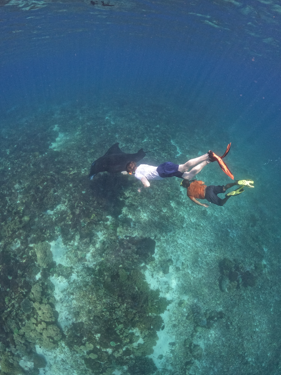 shared komodo 4 days