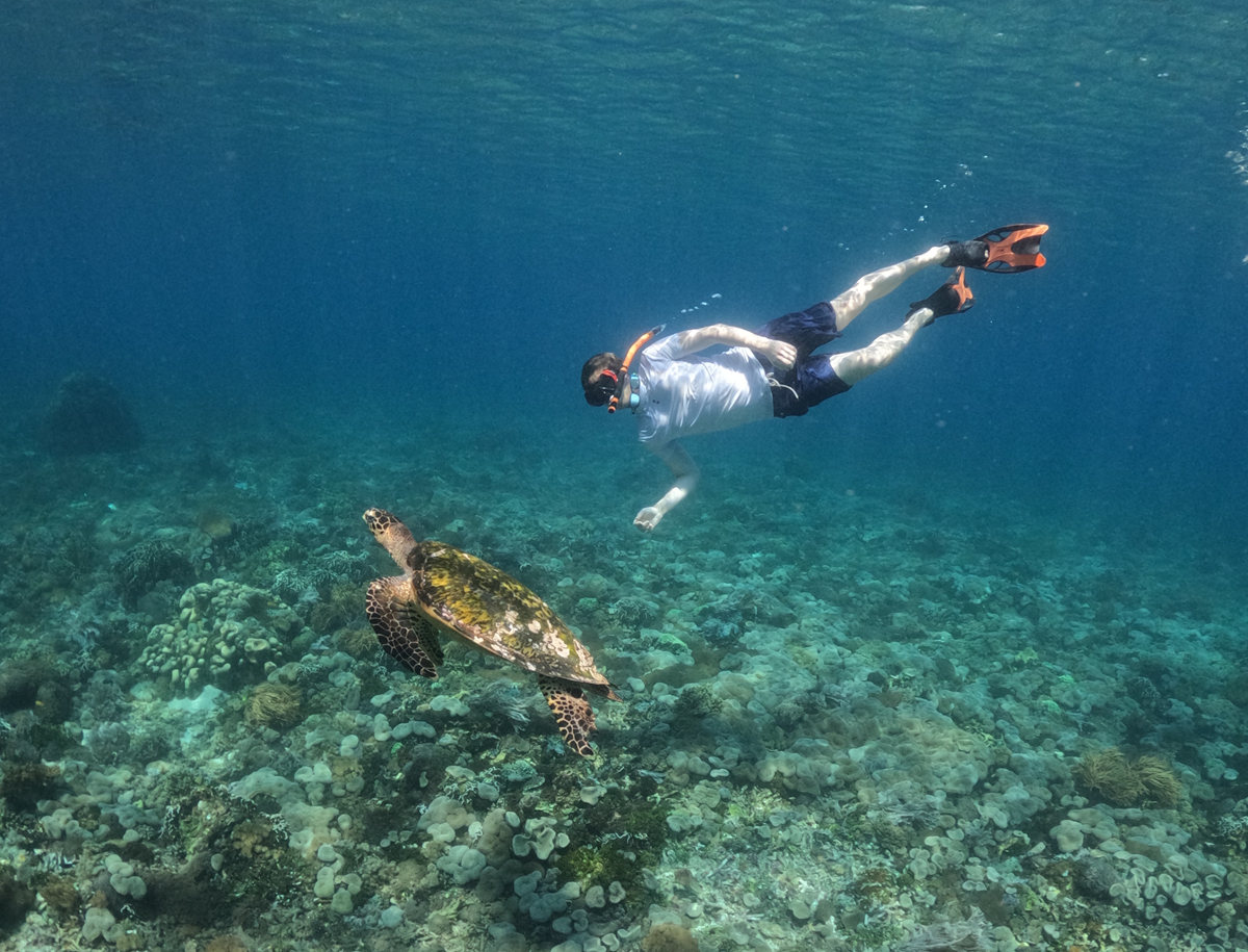4 days komodo tour